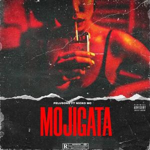 Mojigata