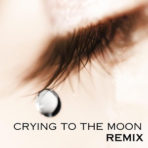 Crying to the Moon (Remix)