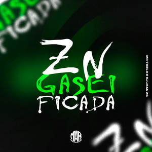 Zn Gaseificada