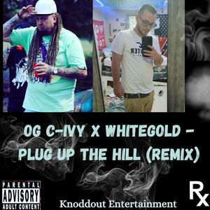 Plug Up The Hill (feat. Whitegold) [Remix] [Explicit]