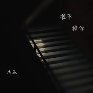 活宝 - 戒不掉你