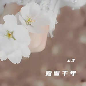 霜雪千年 - 云汐封面