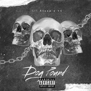 Dog Pound (Explicit)