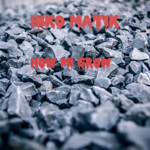 How Mi Grow (Explicit)