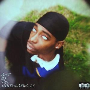 Out of the Woodworks 2 (Explicit)