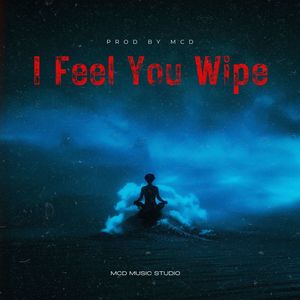 I Feel You Wipe
