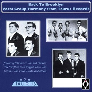 Back to Brooklyn - Vocal Goup Harmony from Taurus