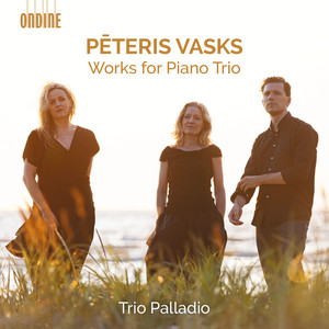 Vasks, P.: Piano Trio Works - Lonely Angel / Episodi E Canto Perpetuo / Plainscapes (Trio Palladio)