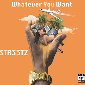 Whatever You Want (Explicit)