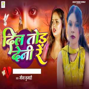 Dil Tod Deni Re