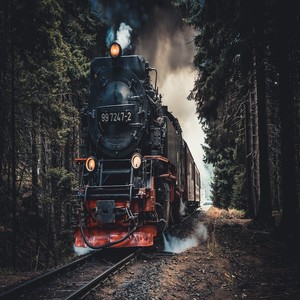 El Tren No Vuelve
