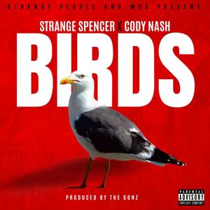BIRDS (feat. CODY NASH) [Explicit]