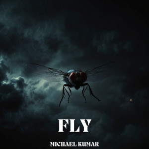 FLY