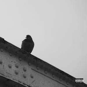 PIGEON (Explicit)