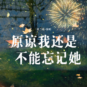 原谅我还是不能忘记她