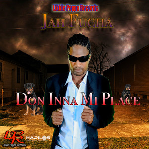 Don Inna Mi Place