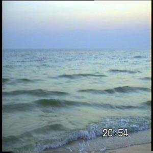 Votetolo5pizduk(feat. Lwptch) (Explicit)