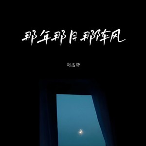 刘志轩 - 那年那月那阵风