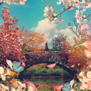 만개(Full Bloom) (盛开)