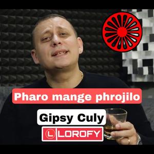 Pharo mange phrojilo(feat. Gipsy Culy)