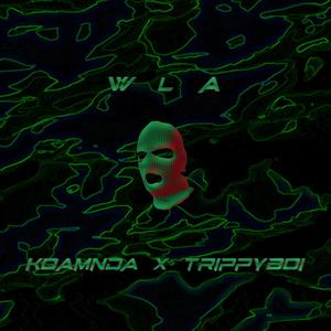 wla (feat. Trippyboi) (Explicit)