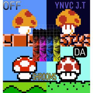 Off Da Shrooms (Explicit)