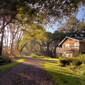 завис (Speed Up)