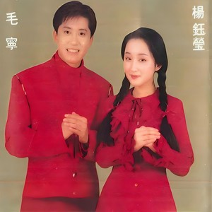甜蜜蜜 (舞曲版)封面