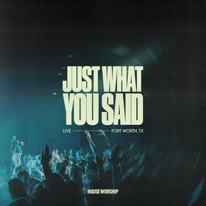 Just What You Said (feat. Hailey Gonzalez) [Live]