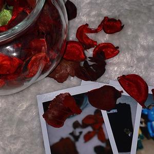 Weirdo(feat. Jauque X) (Explicit)