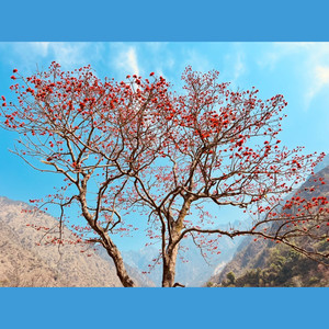 路过人间烟火 - JiMH封面