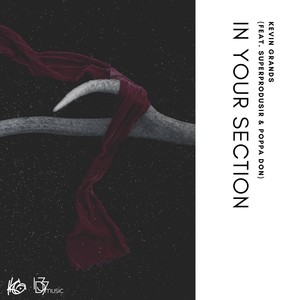 In Your Section(feat. Superprodusir & Poppa Don) (Explicit)