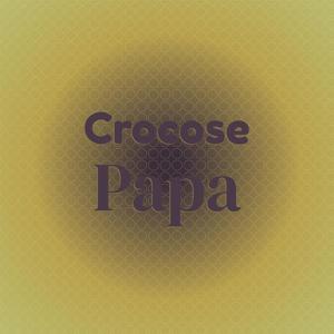 Crocose Papa