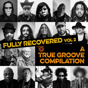 Fully Recovered, Vol 2: A True Groove Compilation