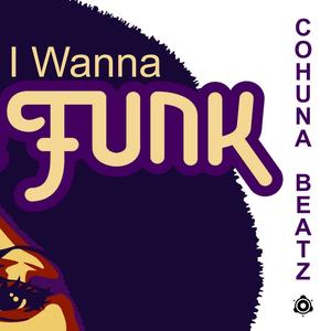 I Wanna Funk (Explicit)