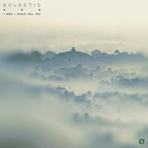 I Wish I Could Tell You