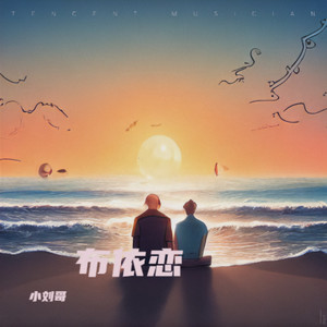 小刘哥 - 网络一线牵