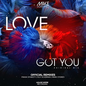 Mike Soriano - Love Got You (Mark Stereo Remix)
