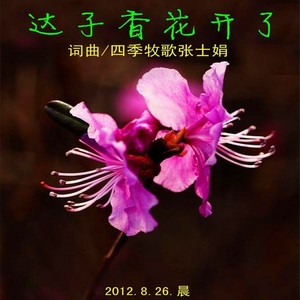 达子香花儿开了