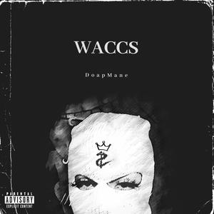 Waccs (Explicit)