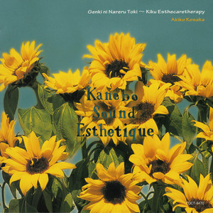 四季 (Four Seasons)