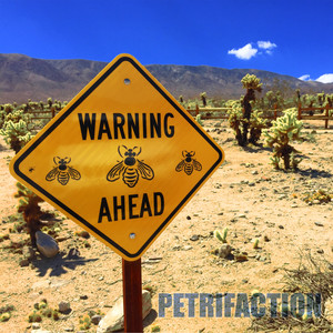 Dealing with Self Expression