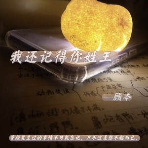 我还记得你姓王