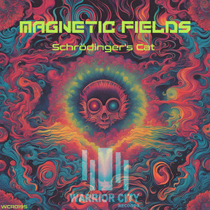 Magnetic Fields