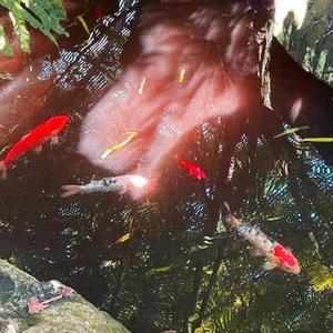 Undone (feat. Nebbes)