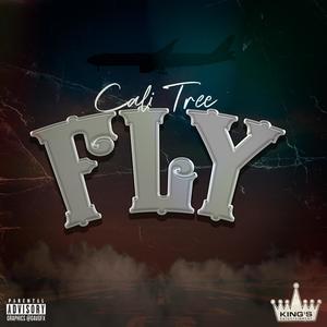 Fly (feat. Pamone) (Explicit)