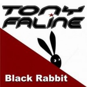 black rabbit