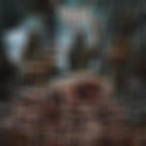 Terror Fiend (Explicit)