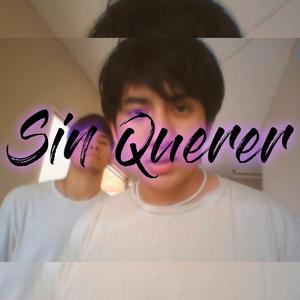 Sin querer (Explicit)