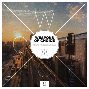 In Love (Original Mix)